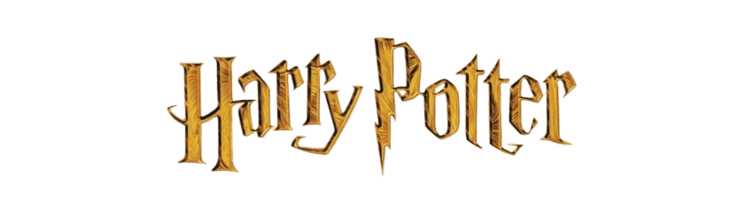 Harry Potter Experience